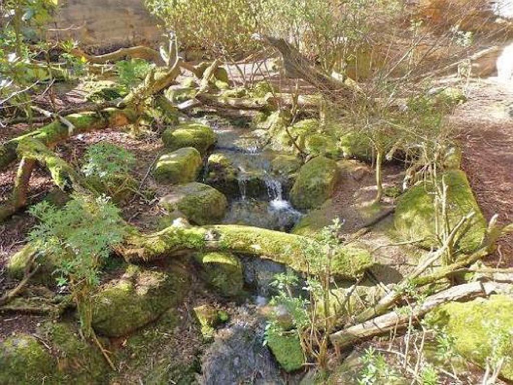 149 BIO PARC DE DOUE LA FONTAINE 3- 2016_000037.jpg
